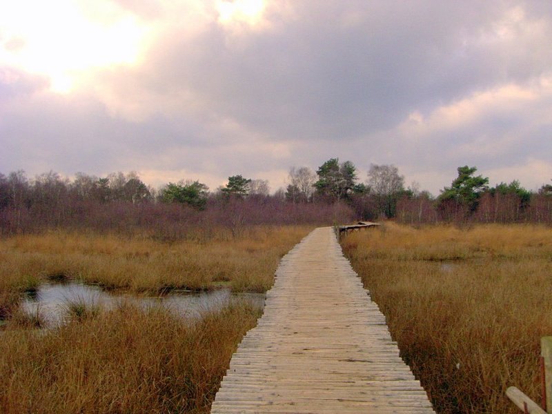 Nationaal Park De Groote Peel