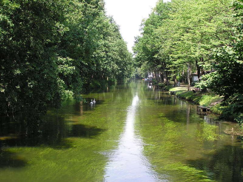 Het kanaal langs Camping Frerichsoord, omzoomd door bomen